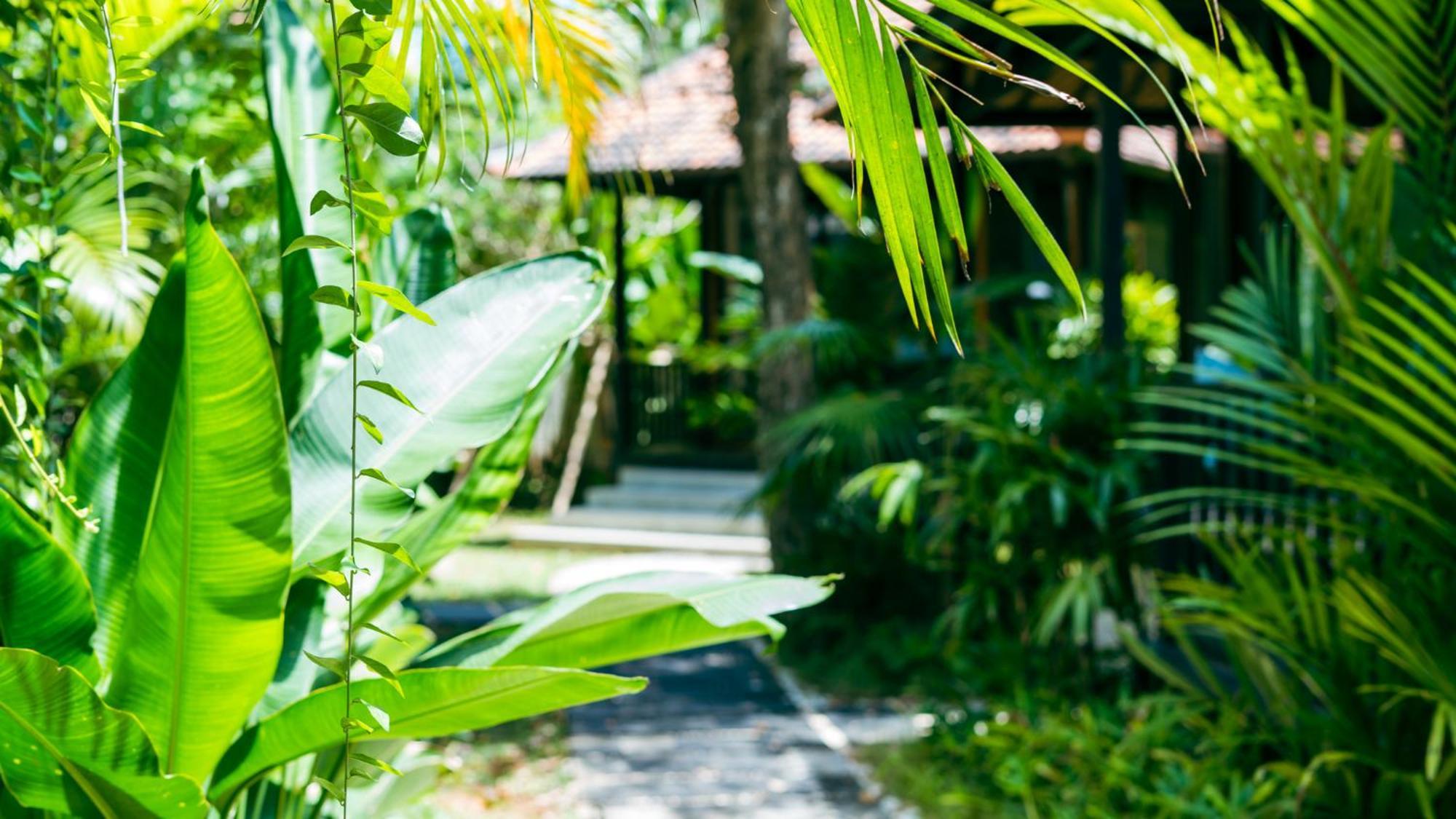 Uluwatu Onaya Bali Resort - Adults Only מראה חיצוני תמונה